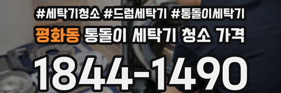 평화동 통돌이 세탁기 청소 가격