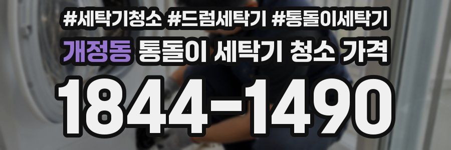 개정동 통돌이 세탁기 청소 가격