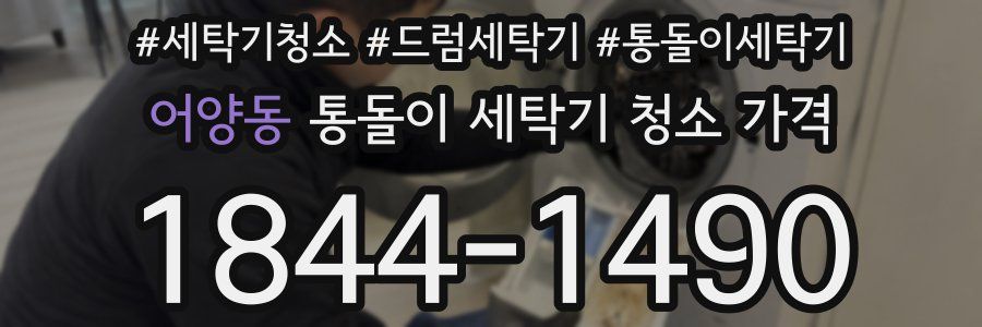 어양동 통돌이 세탁기 청소 가격