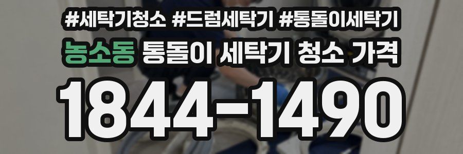 농소동 통돌이 세탁기 청소 가격