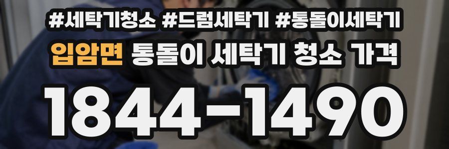 입암면 통돌이 세탁기 청소 가격