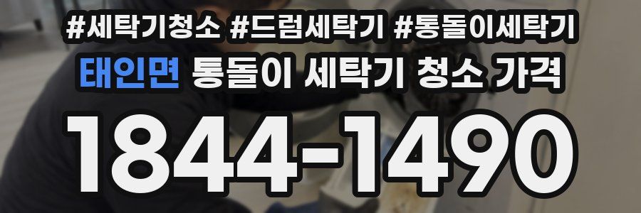 태인면 통돌이 세탁기 청소 가격