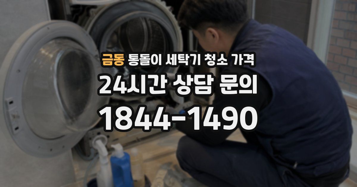 금동 통돌이 세탁기 청소 가격