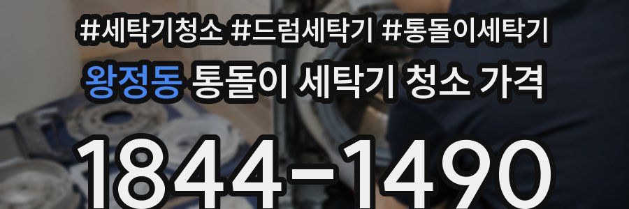 왕정동 통돌이 세탁기 청소 가격
