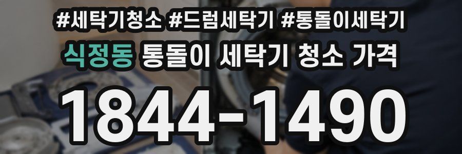 식정동 통돌이 세탁기 청소 가격