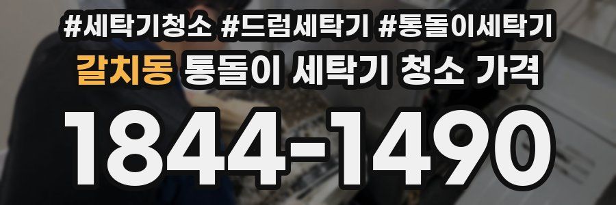 갈치동 통돌이 세탁기 청소 가격