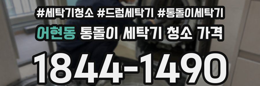 어현동 통돌이 세탁기 청소 가격