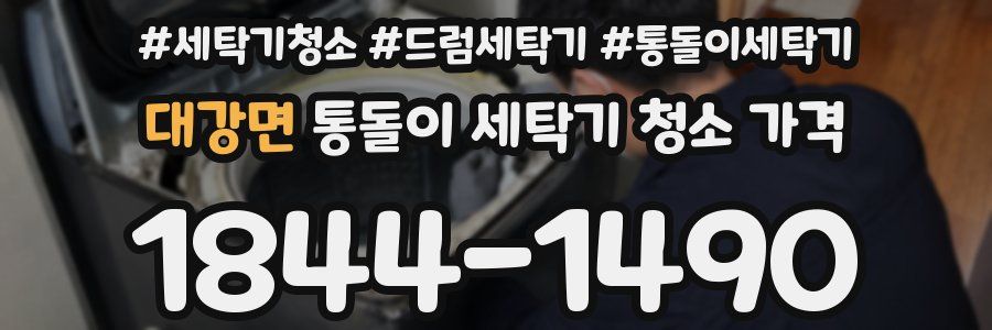 대강면 통돌이 세탁기 청소 가격