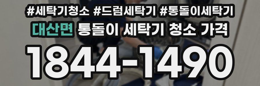 대산면 통돌이 세탁기 청소 가격