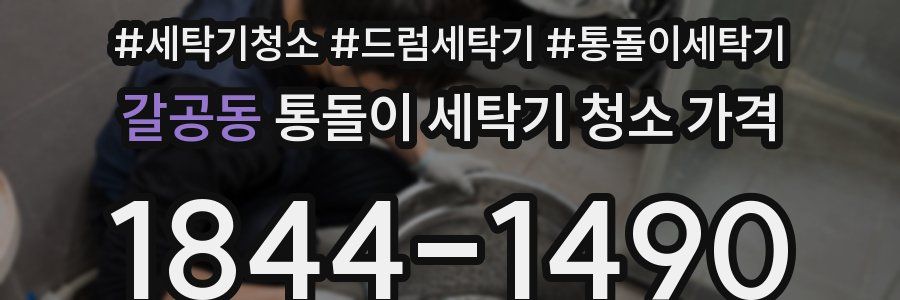 갈공동 통돌이 세탁기 청소 가격