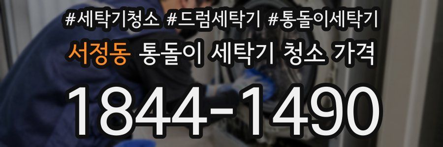 서정동 통돌이 세탁기 청소 가격