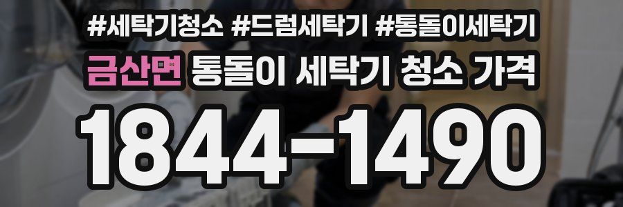 금산면 통돌이 세탁기 청소 가격