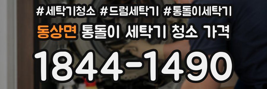 동상면 통돌이 세탁기 청소 가격