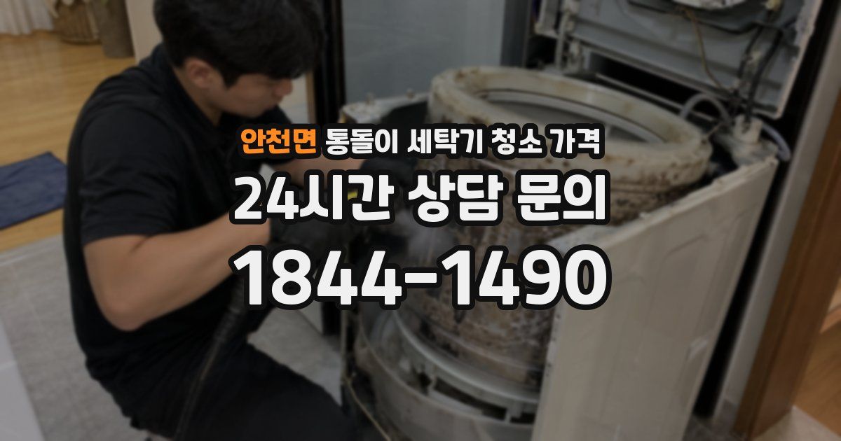 안천면 통돌이 세탁기 청소 가격