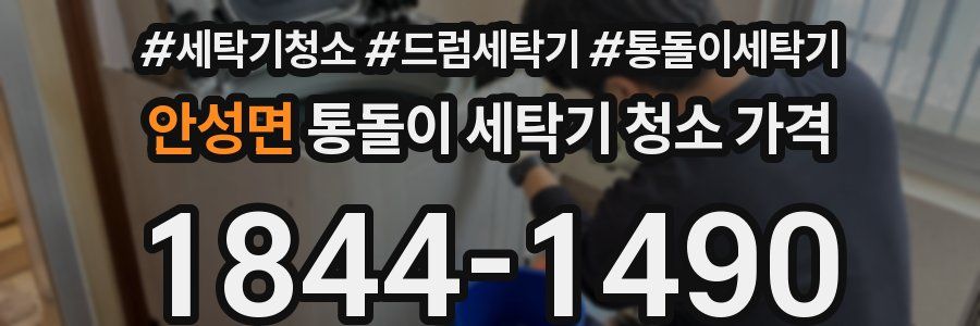 안성면 통돌이 세탁기 청소 가격
