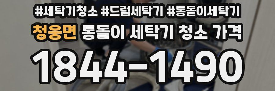 청웅면 통돌이 세탁기 청소 가격