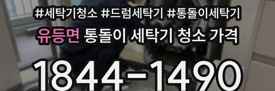 유등면 통돌이 세탁기 청소 가격