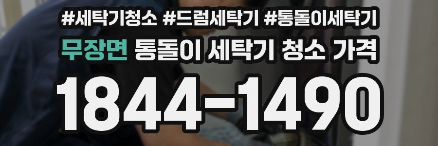 무장면 통돌이 세탁기 청소 가격