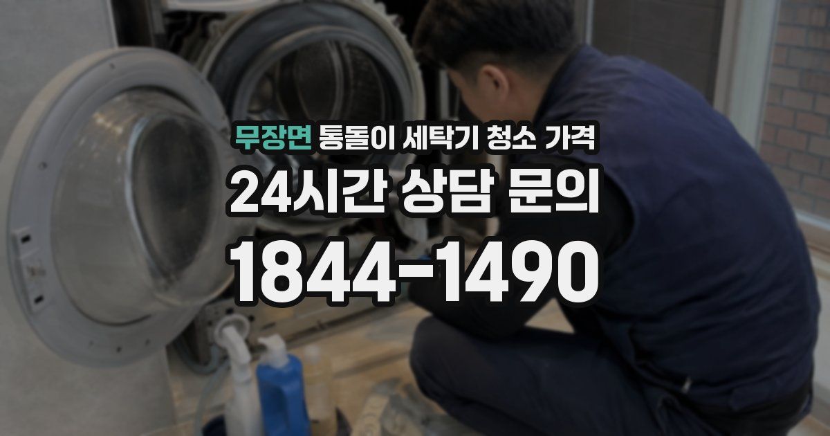 무장면 통돌이 세탁기 청소 가격