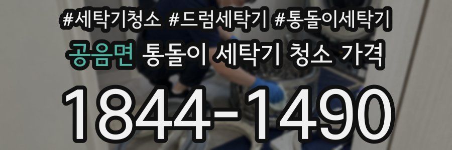 공음면 통돌이 세탁기 청소 가격