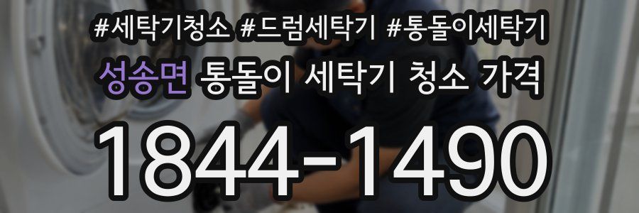 성송면 통돌이 세탁기 청소 가격