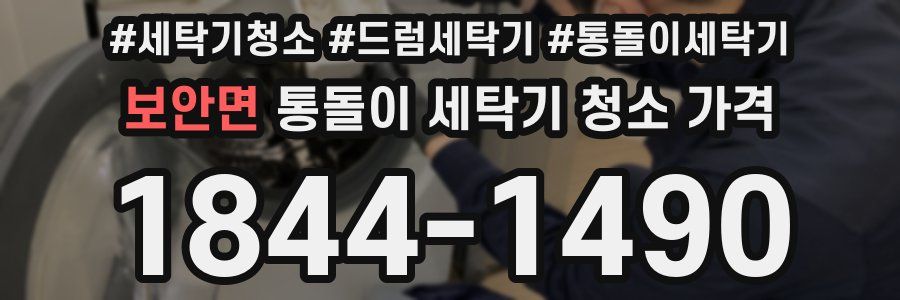 보안면 통돌이 세탁기 청소 가격