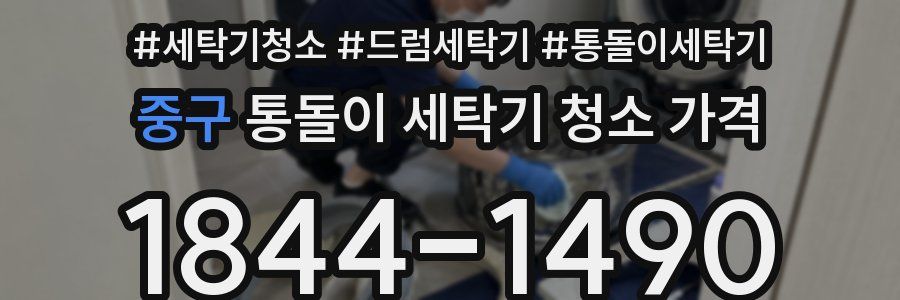 중구 통돌이 세탁기 청소 가격