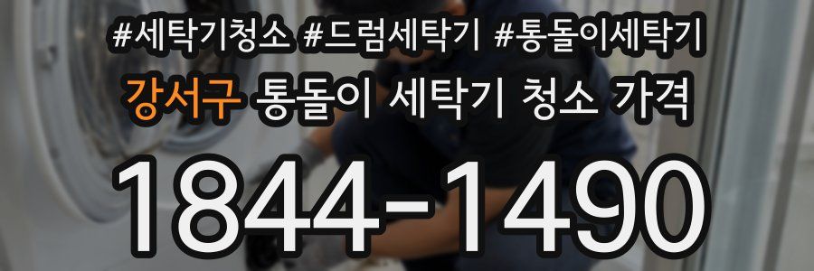 강서구 통돌이 세탁기 청소 가격
