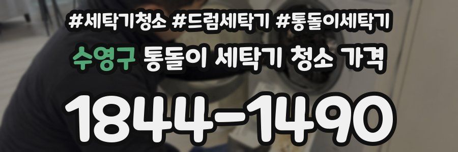 수영구 통돌이 세탁기 청소 가격