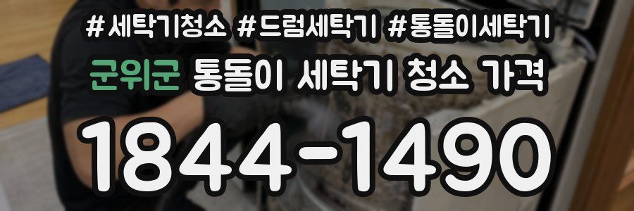 군위군 통돌이 세탁기 청소 가격