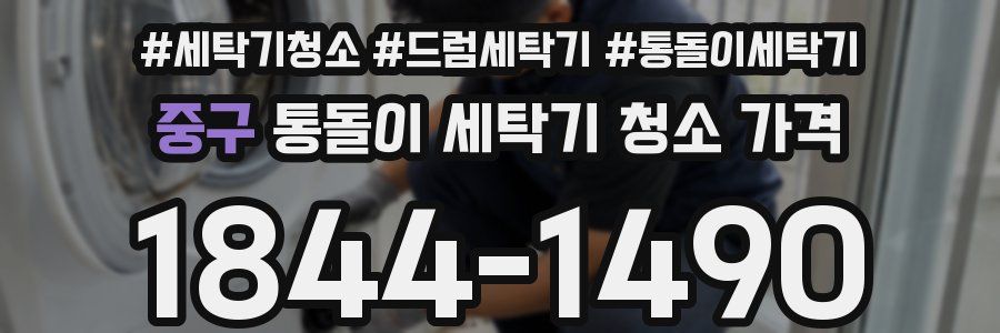 중구 통돌이 세탁기 청소 가격