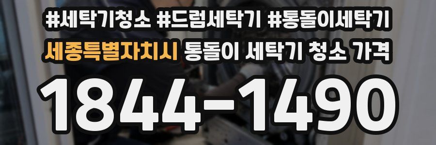 세종특별자치시 통돌이 세탁기 청소 가격