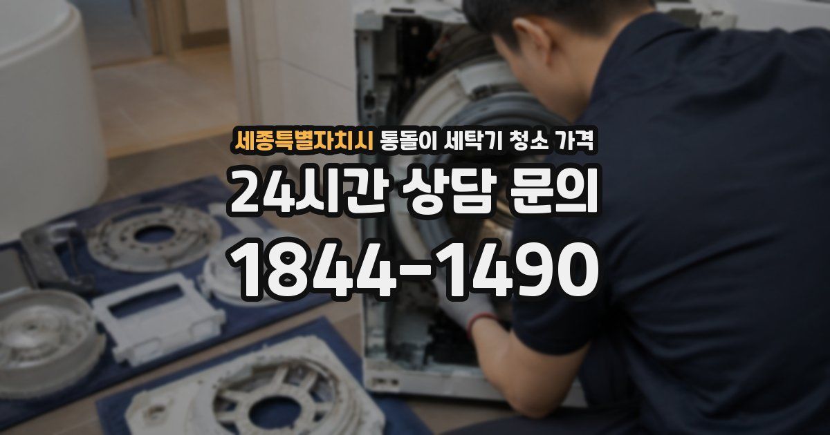 세종특별자치시 통돌이 세탁기 청소 가격