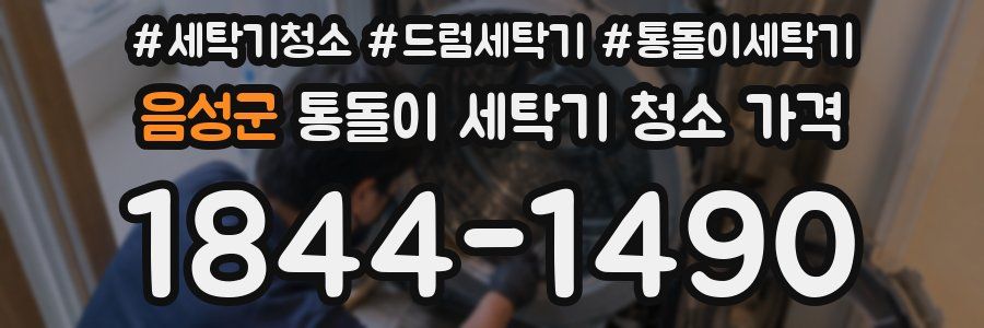 음성군 통돌이 세탁기 청소 가격