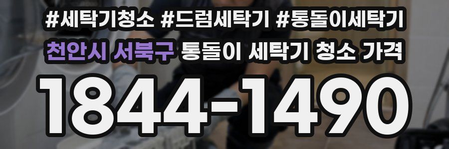 천안시 서북구 통돌이 세탁기 청소 가격