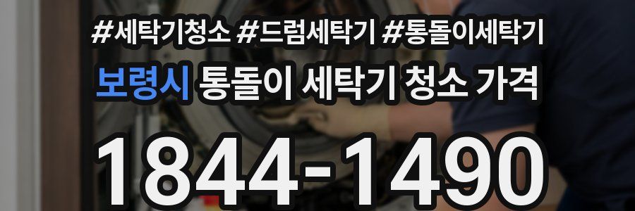 보령시 통돌이 세탁기 청소 가격