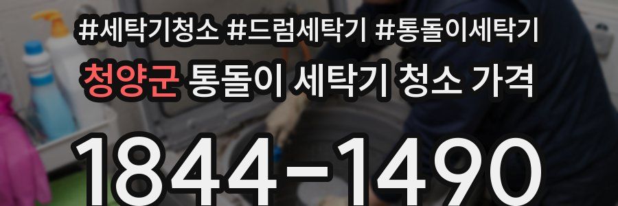청양군 통돌이 세탁기 청소 가격