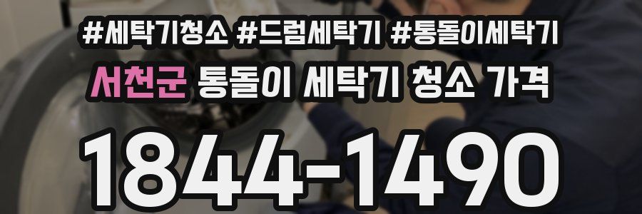 서천군 통돌이 세탁기 청소 가격