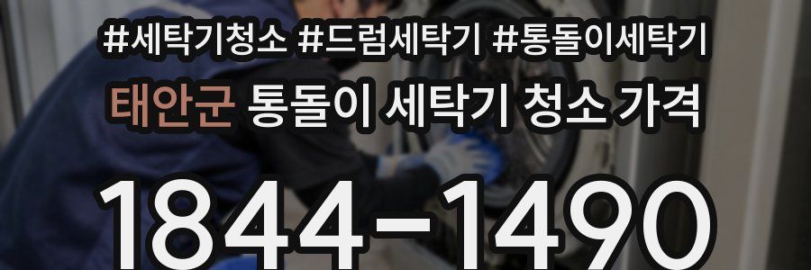 태안군 통돌이 세탁기 청소 가격