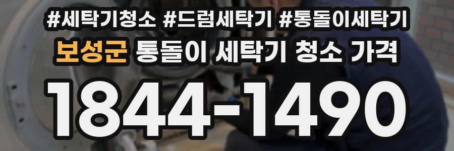 보성군 통돌이 세탁기 청소 가격