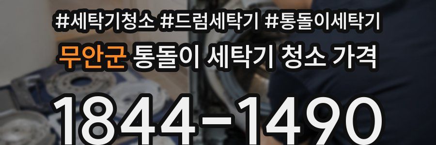 무안군 통돌이 세탁기 청소 가격