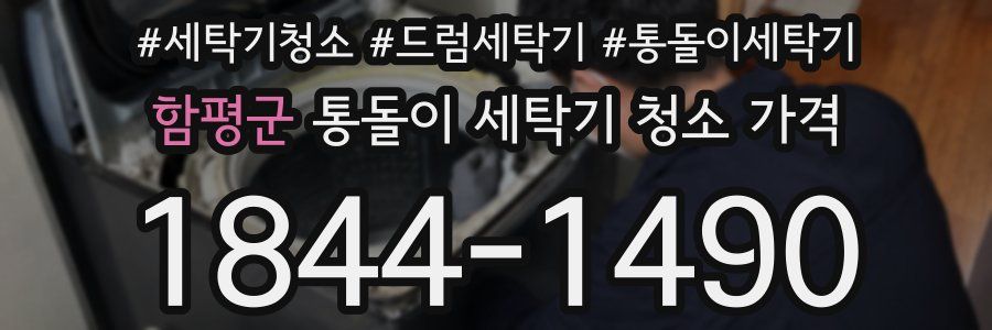 함평군 통돌이 세탁기 청소 가격