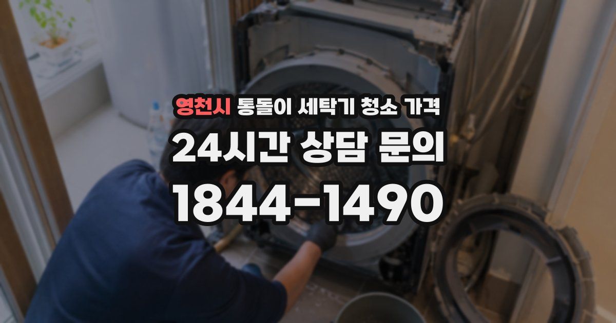 영천시 통돌이 세탁기 청소 가격