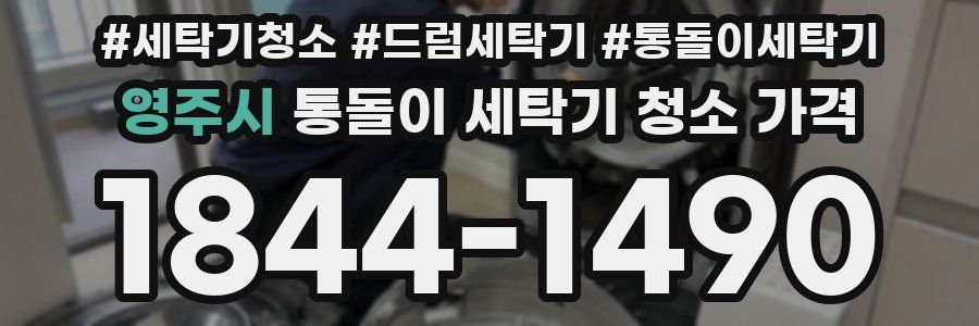 영주시 통돌이 세탁기 청소 가격