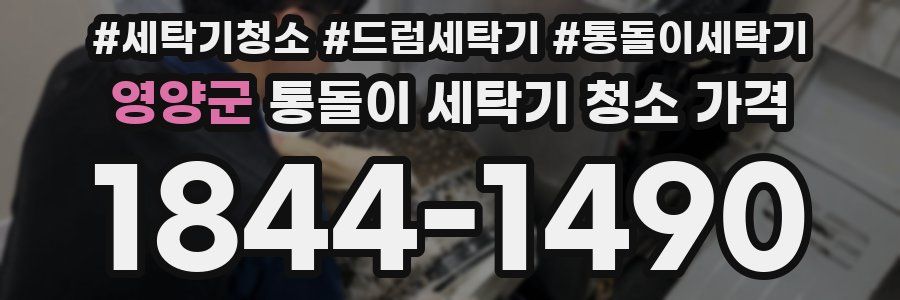 영양군 통돌이 세탁기 청소 가격
