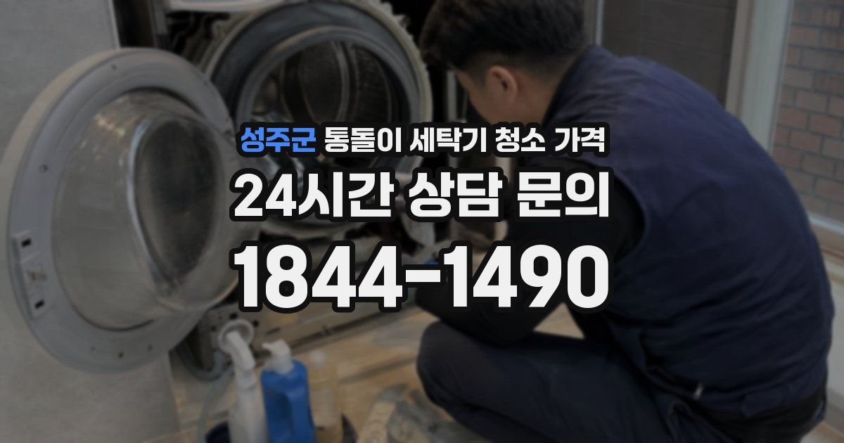 성주군 통돌이 세탁기 청소 가격