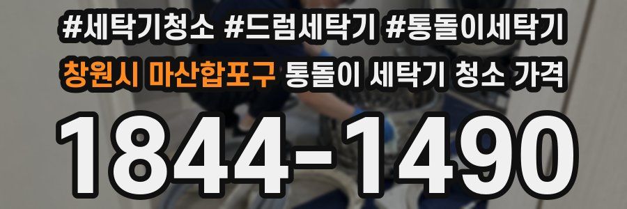 창원시 마산합포구 통돌이 세탁기 청소 가격