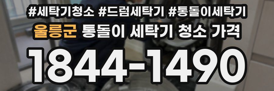 울릉군 통돌이 세탁기 청소 가격