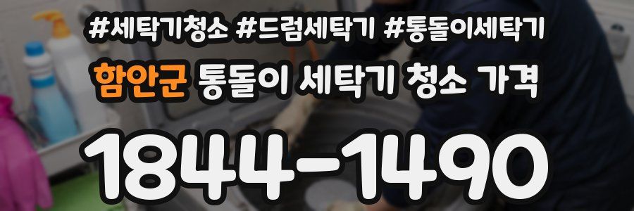 함안군 통돌이 세탁기 청소 가격
