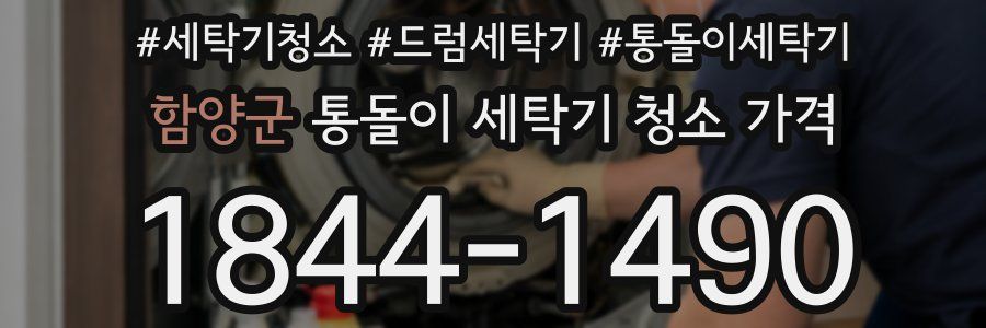 함양군 통돌이 세탁기 청소 가격